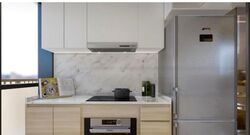 Sanctuary @ Newton (D11), Apartment #457955291